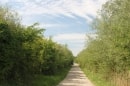 entre Noyelles et le canal